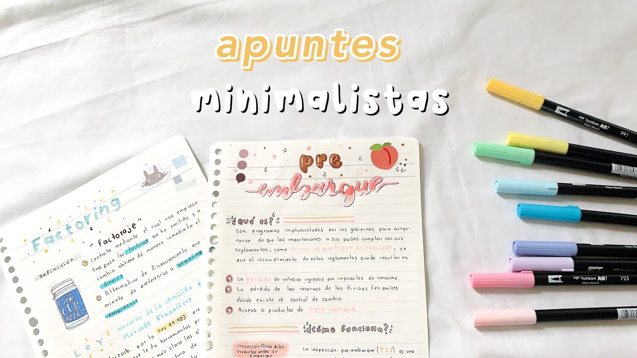 mis apuntes minimalistas? 🌱