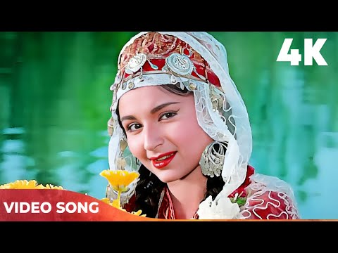 Yeh Chand Sa Roshan Chehra 4K | Mohammad Rafi Song | Sharmila Tagore | Kashmir Ki Kali Songs