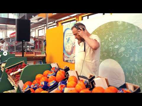 MARCO GALLERANI in 180 GR - Mercato Coperto, Ferrara -  2018