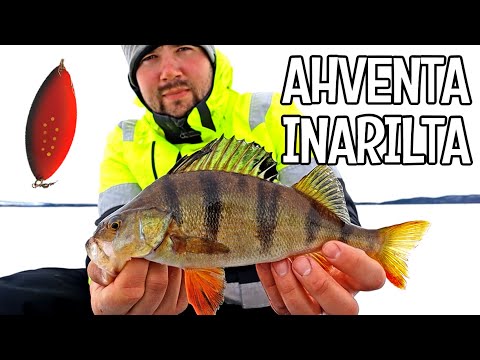 ILTAPÄIVÄ INARILLA - KÖRMY AHVENIA RAUTULÄTKÄLLÄ