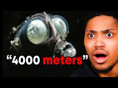 Deep Sea Creatures Are FKN INSANE..😳