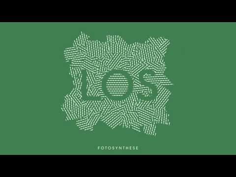 Fotosynthese - Los