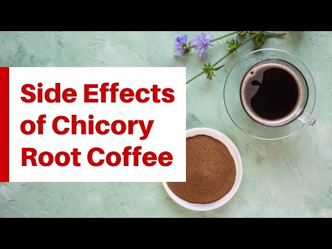 5 Worrying Side Effects You Must Know Before Drinking Chicory Coffee| by Detox is Good