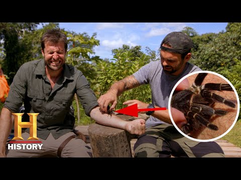 BIT BY WORLD'S LARGEST TARANTULA! | Kings of Pain (Season 1) | History