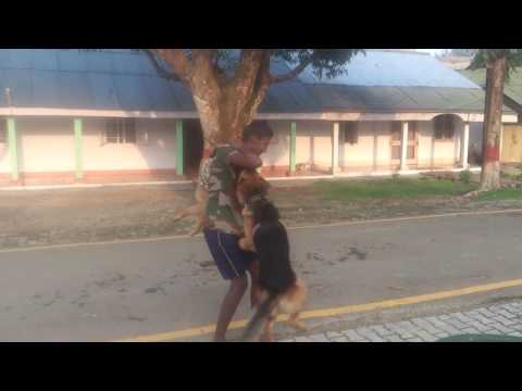 Horsley Hills lohith fun with Jermain Shepard