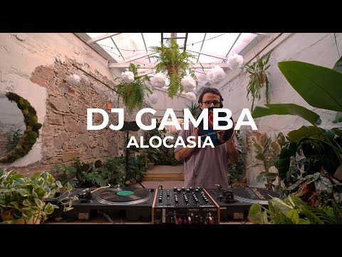 Electro and House beats with Dj Gamba at Fedra - Alocasia TV Barcelona