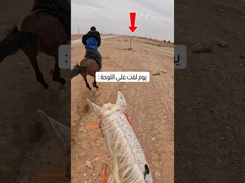 لوحة طلعت قدامي وانا ارك بالخيل 🏇💔