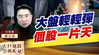 大盤輕輕彈個股一片天 (圖)