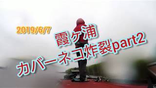 吉田尚晃 撮影　霞ヶ浦カバーネコ炸裂part2