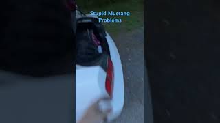 Coolant leak￼ on a 07 Mustang