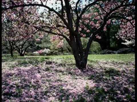 download lagu mp3 mp4 Cabrel La Robe Et L échelle, download lagu Cabrel La Robe Et L échelle gratis, unduh video klip Cabrel La Robe Et L échelle