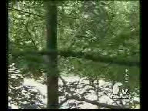 Rally 5 Valli 2007 Maurizio Deola- Barelli Davide