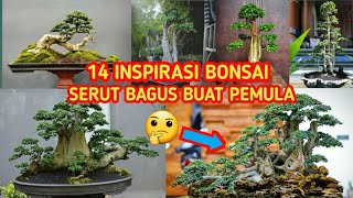 Download lagu 14 INSPIRASI BONSAI SERUT BAGUS || BONSAI SETUT mp3 Download lagu 14 INSPIRASI BONSAI SERUT BAGUS || BONSAI SETUT mp3