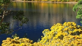 Cores ( Música pop ) Fernanda Goucher