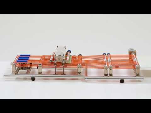 アナ・ポーラ・シーベルトさんはIUDで子宮に穴を開け、手術を受ける