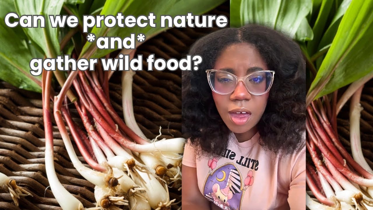 The Art of Baking: From Classic Bread to Artisan Pastries