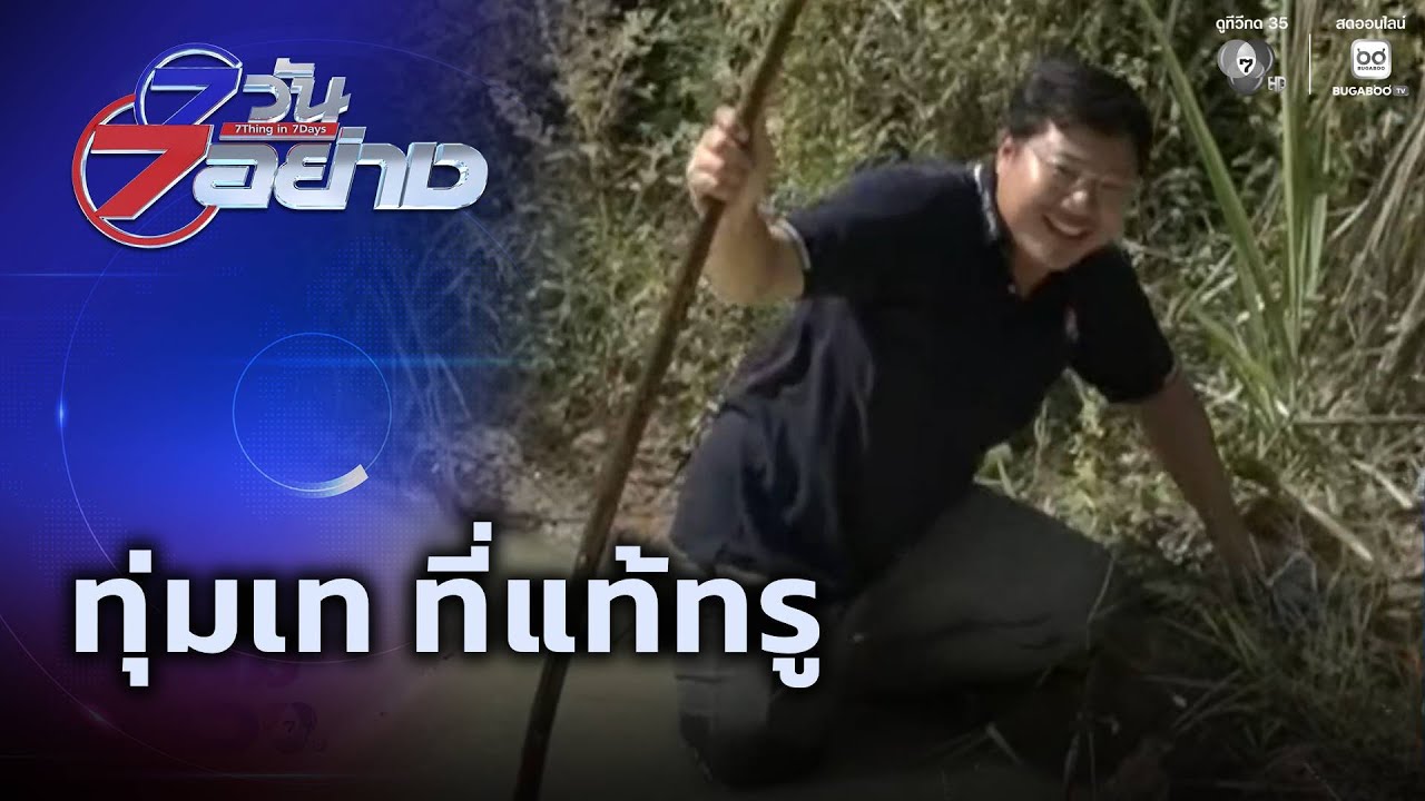 ทุ่มเท ที่แท้ทรู | 7 วัน 7 อย่าง