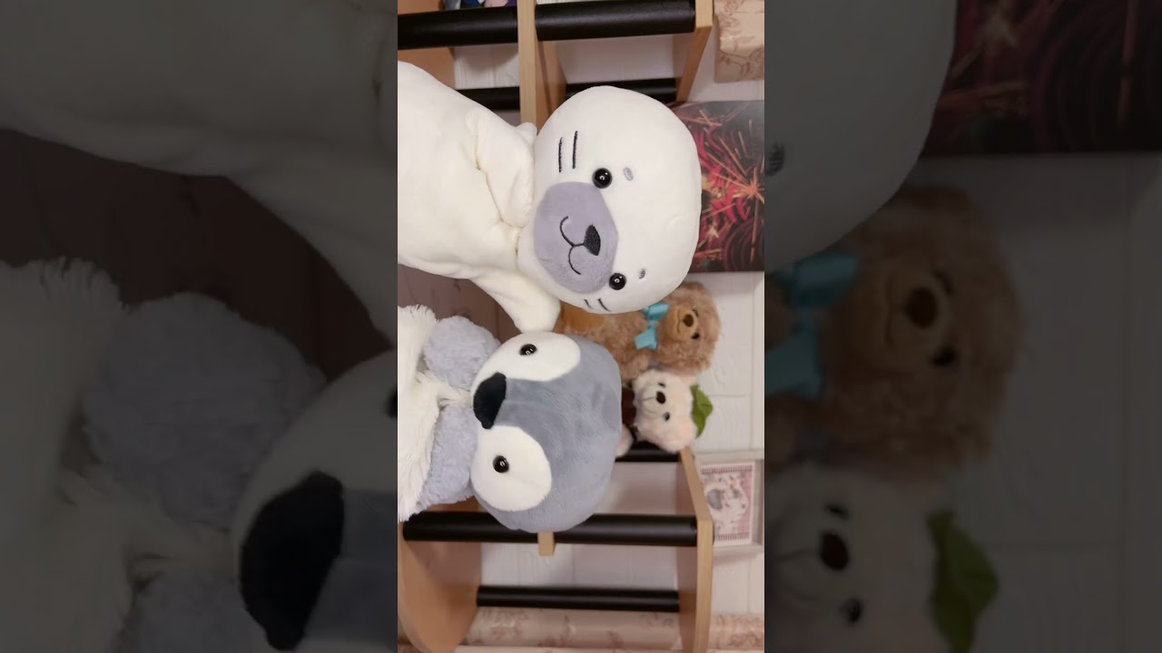 うみのいきものペアで撮ったよ🦭🐧🩵 #ぬいぐるみ #stuffedtoy #キミに100パーセント #クレヨンしんちゃん #fypシ