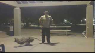 jim lesson 19 part 1