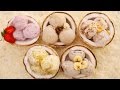 5 NEW Homemade Ice Cream Flavors Dairy Free Coconut Ice Cream Recipe No Machine