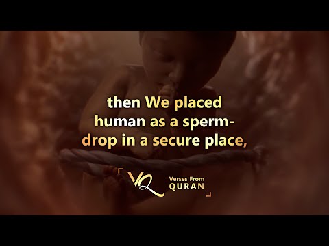 Human Creation in Quran | Surah Al-Muminun | Verse 12-16 | Raad Muhammad Alkurdi | Verses From Quran