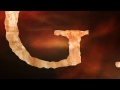 The Adventures Of Thomas Trailer 1