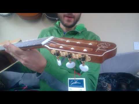 Обзор гитары Godin Presentation