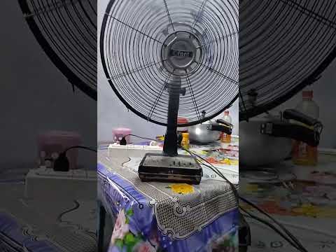 Cinni Sigra Table Fan