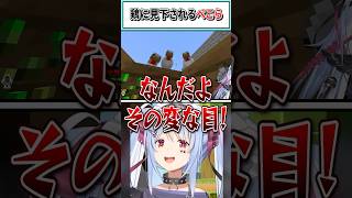 鶏に見下されるぺこら【兎田ぺこら/ホロライブ切り抜き】 #shorts #vtuber #ホロライブ切り抜き