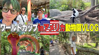 【W杯現地】けーごとマキヒカとアメリカ🇺🇸ダラスのデカ過ぎる動物園行ったらおもろ過ぎたwww