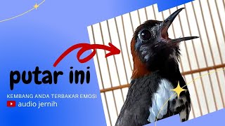 Download lagu ANIS KEMBANG NGECIT NGEPLONG membuat Anis Kembang anda auto birahi dan gacor dengan cepat !!! mp3