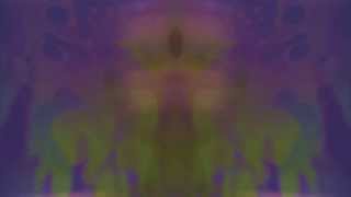 Innerspeaker - Mugshot (Official Video)