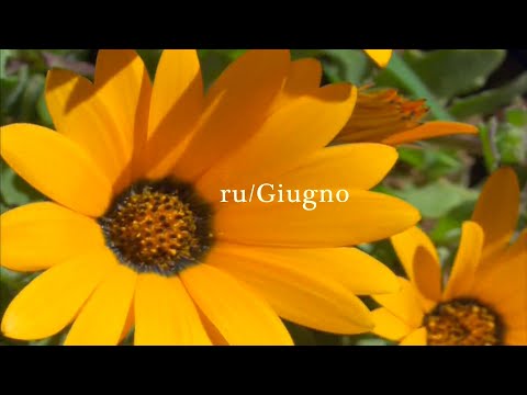 RU - Giugno