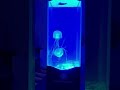 Smithsonian Jelly Fish Aquarium Science Kit
