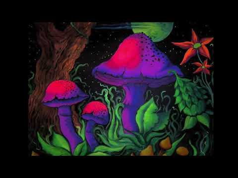 Terence McKenna - Discipline Yourself