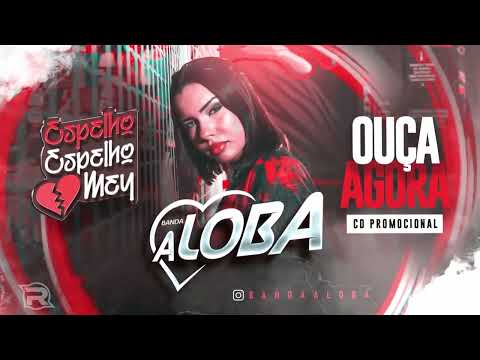 BANDA A LOBA   AUDIO COMPLETO CD PROMOCIONAL ABRIL 2022