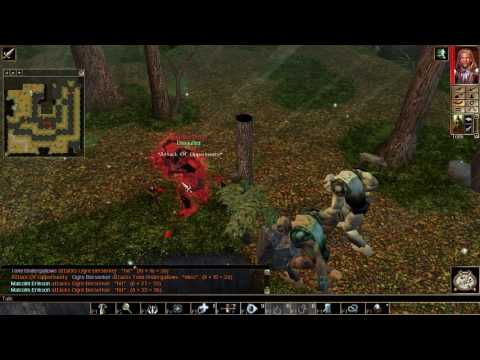 Let's Play Neverwinter Nights #145 Flattering a Dragon