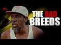 THE BAD BREEDS JAMAICAN MOVIE ALTON GORDON ORIGINALS