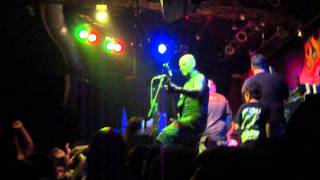 RATOS DE PORÃO - TERRA DO CARNAVAL