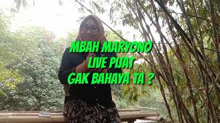 Download lagu Pijat Mbah Maryono ternyata juga ada Live nya mp3