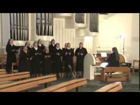 Die Antwortpsalmen - Taufe des Herrn Lesejahr A