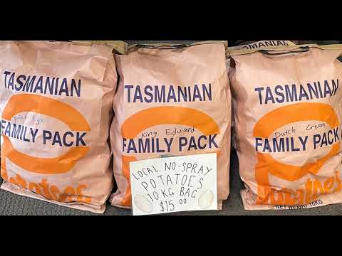 10 things to see and do Penguin, Tasmania, Australia