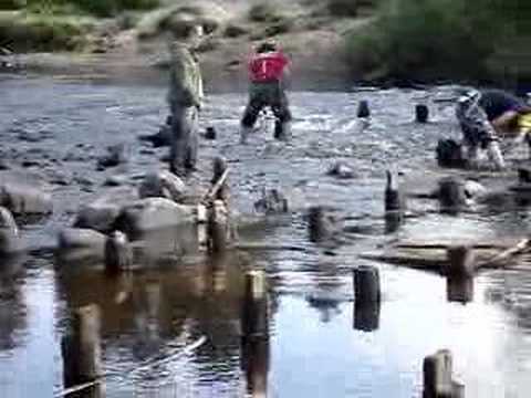 Medveditsa, June 2007