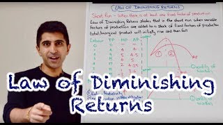 Y2 1) Law of Diminishing Returns