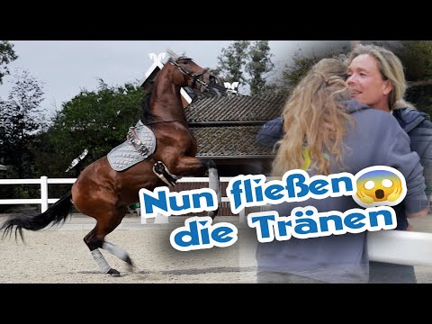 Jackpot wird weggeputzt – Für dem Winter gibt’s was Neues | Jungpferdeentwicklung auf Hof Eicheneck