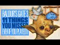 11 Things You Missed In Baldur's Gate 3 Even If You Played It - BALDUR'S GATE 3 TRANSLATED SIGNS