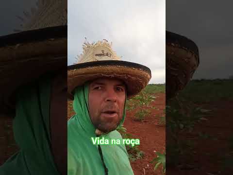 fazenda Diniz besouro de são Gabriel ba