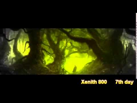 Xenith800 - 7th day