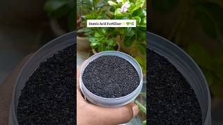 Download lagu Pupuk Asam Humat untuk Tanaman ✨🌿 #shorts #berkebun #youtubeshorts #tanaman mp3 Download lagu Pupuk Asam Humat untuk Tanaman ✨🌿 #shorts #berkebun #youtubeshorts #tanaman mp3