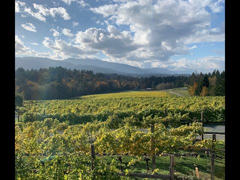 Video AdVINEture: Cowichan Valley
